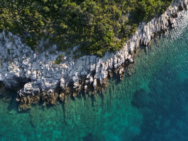 Vis Adası, İtalyan Lissa adası, Adriyatik Denizi 'ndeki Hırvatistan adası. Dalmaçya takımadalarının en dıştaki en büyük adasıdır.