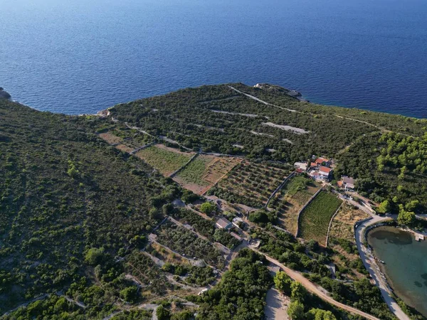 Остров Вис Итальянской Лиссе Остров Хорватия Адриатическом Море Самый Внешний — стоковое фото