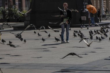 ZAGREB, CROATIA - 9 AĞUSTOS 2023 - Zagrep 'teki Hırvat mimari kent binasının ana meydanındaki tramvay vagonunda insan ve güvercinler