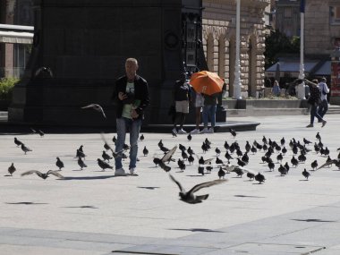 ZAGREB, CROATIA - 9 AĞUSTOS 2023 - Zagrep 'teki Hırvat mimari kent binasının ana meydanındaki tramvay vagonunda insan ve güvercinler