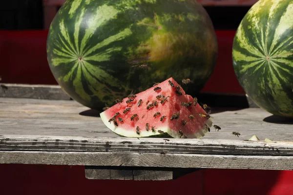 Wassermelone Bedeckt Mit Bienen Frischem Obst Und Gemüse Auf Dem — Stockfoto