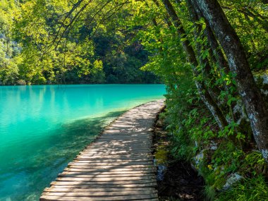 Hırvatistan 'ın Plitvice Gölleri Ulusal Parkı' ndaki su gölleri ve güzel şelalelerin yaz manzarası
