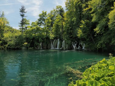 Hırvatistan 'ın Plitvice Gölleri Ulusal Parkı' ndaki su gölleri ve güzel şelalelerin yaz manzarası