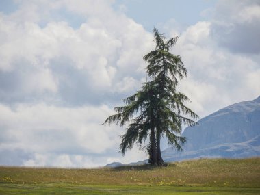 Monte Croce, Dolomitlerle dağları aşıyor. Badia Vadisi Panorama manzarası.