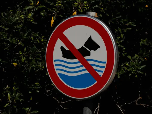 Geen Hond Zwembord Zeewater Van Vis Eiland Kroatische Dorpshuizen Tijdens — Stockfoto