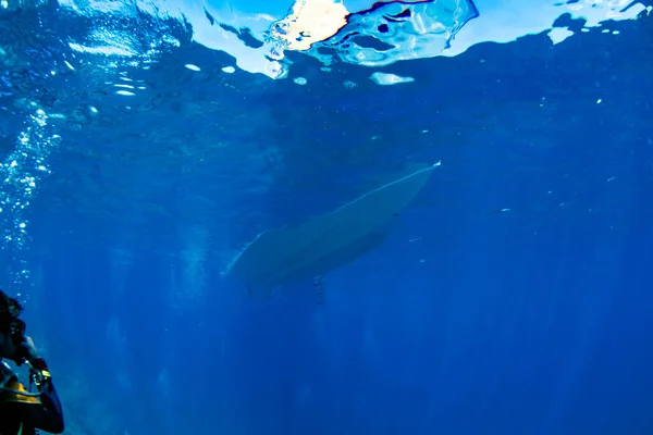A boat from underwater while diving