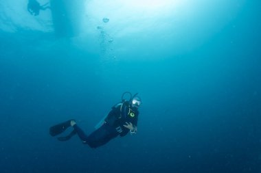 Mavi denizde, teknenin altında dalgıçlar dalgıçların siluetleri ve yüzeyde parlayan ışık huzmeleriyle çekim yapıyorlar.