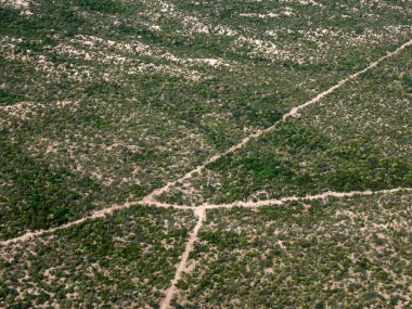 Baja California Sur, Meksika 'da deniz kenarındaki dağlar boyunca uzanan çöl manzarası.