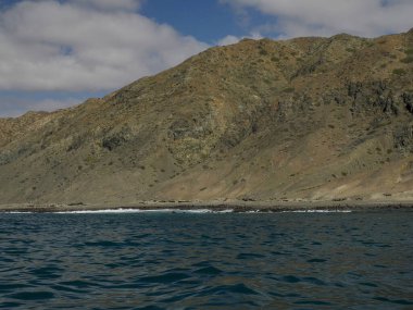 Baja California Sur, Meksika 'daki Santa Margherita adasının Pasifik Okyanusu' nun önündeki kayalıklarda dinlenen bir Kaliforniya deniz aslanı kolonisi.