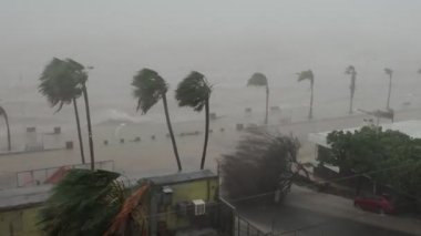 Norma Kasırgası Ekim 2023 la paz baja California sur Mexico