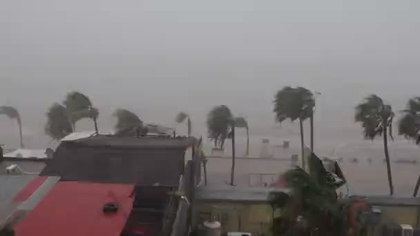 Ураган Норма Октябрь 2023 Paz Baja Calla Sur Felico — стоковое видео