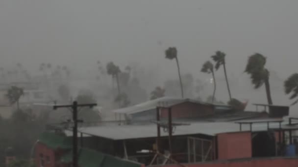 Ouragan Norma Octobre 2023 Paz Baja Californie Sur Mexico — Video