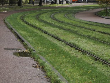 Amsterdam manzaralı çimenli tren rayları yağmurlu bir günde Hollanda