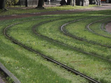 Amsterdam manzaralı çimenli tren rayları yağmurlu bir günde Hollanda