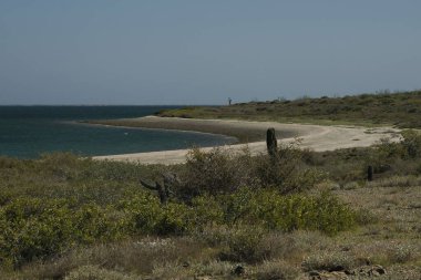 cortez sea baja california sur landscape panorama from boat