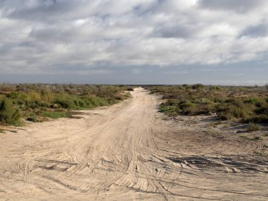 Sonsuz bir yol boyunca bir baja California