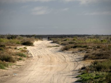 Sonsuz bir yol boyunca bir baja California