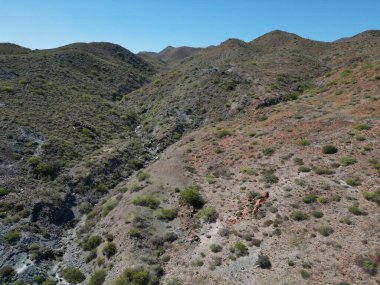 Bahia Magdalena 'nın volkanik kayalıklarından Baja California hava manzaralı insansız hava aracı.
