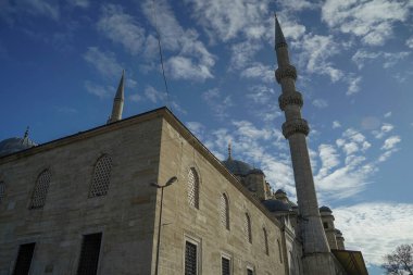 Eminonu Yeni Cami Camii İstanbul 'daki hindi günü manzaralı