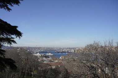 Topkapı Sarayı 'ndan Marmara deniz manzaralı İstanbul hindisi.
