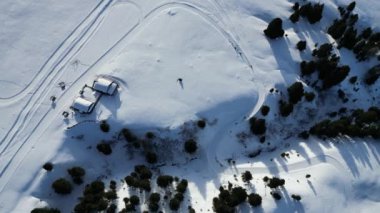 Kızak köpeği, kar üzerinde, dolomitler üzerinde kar selvi köpeğini kış mevsiminde hava manzaralı hava aracı görüntülerinde Val Badia 'yı izledi.