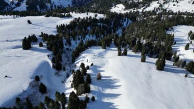 Kızak köpeği, kar üzerinde, dolomitler üzerinde kar selvi köpeğini kış mevsiminde hava manzaralı hava aracı görüntülerinde Val Badia 'yı izledi.