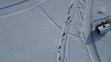 Kızak köpeği, kar üzerinde, dolomitler üzerinde kar selvi köpeğini kış mevsiminde hava manzaralı hava aracı görüntülerinde Val Badia 'yı izledi.