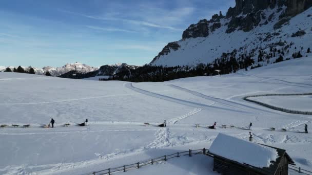 Slædehund Seld Hund Sne Dolomitterne Luftudsigt Val Badia Vintersæsonen Panorama – Stock-video