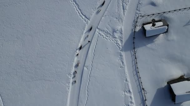 冬季滑雪板狗雪地上的白云石空中景观嘉年华巴迪亚全景无人机画面 — 图库视频影像