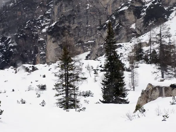 some rock and snow falling on Fanes mountain Dolomites winter panorama landscape