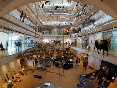 TRENTO, ITALY - 11 Şubat 2024 MUSE - Museo delle Scienze di Trento in Italy translation science museum by Renzo Piano mimar