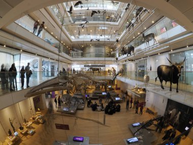 TRENTO, ITALY - 11 Şubat 2024 MUSE - Museo delle Scienze di Trento in Italy translation science museum by Renzo Piano mimar