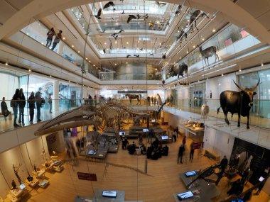 TRENTO, ITALY - 11 Şubat 2024 MUSE - Museo delle Scienze di Trento in Italy translation science museum by Renzo Piano mimar