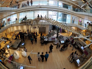 TRENTO, ITALY - 11 Şubat 2024 MUSE - Museo delle Scienze di Trento in Italy translation science museum by Renzo Piano mimar