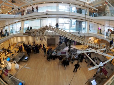 TRENTO, ITALY - 11 Şubat 2024 MUSE - Museo delle Scienze di Trento in Italy translation science museum by Renzo Piano mimar