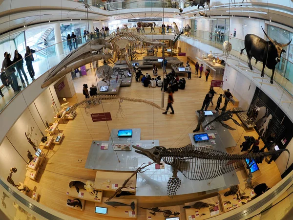 TRENTO, ITALY - 11 Şubat 2024 MUSE - Museo delle Scienze di Trento in Italy translation science museum by Renzo Piano mimar