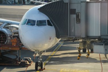 Kapıda park etmiş bir uçak var.