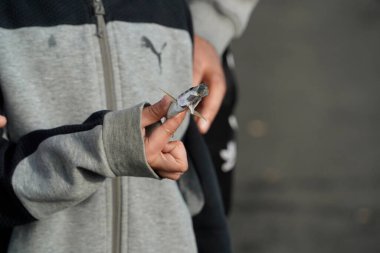 İSTANBUL, TURKEY - 5 HAZİRAN 2024 Galata Köprüsü 'nde balık tutan insanlar. Elinde olta olan bir sürü insan..