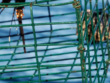 Meksika 'da tekneden ıstakoz tenceresiyle balık avlıyoruz.