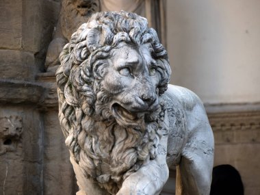 Aslan heykeli meclisi Floransa, İtalya heykeli ayrıntıları