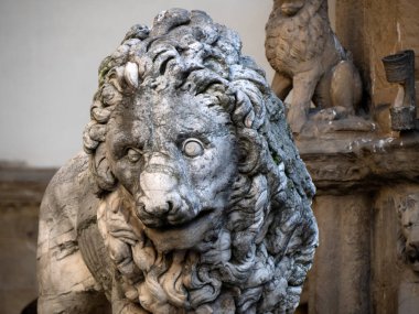 Aslan heykeli meclisi Floransa, İtalya heykeli ayrıntıları