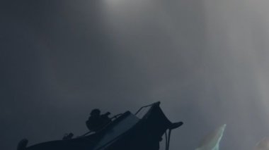 Yunuslar geminin yanında yüzüyorlar. 