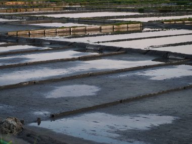 Aveiro Portekiz 'in tuz kapları