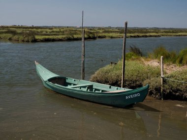 Geleneksel tekne Portekiz 'in Atlantik kıyısındaki Aveiro lagünü Ria de Aveiro..