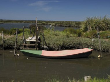 Geleneksel tekne Portekiz 'in Atlantik kıyısındaki Aveiro lagünü Ria de Aveiro..