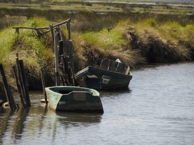 Geleneksel tekne Portekiz 'in Atlantik kıyısındaki Aveiro lagünü Ria de Aveiro..