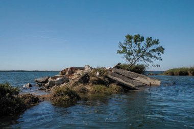 Aveiro gölü Ria de Aveiro Portekiz 'in Atlantik kıyısında yer alır..