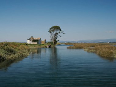 Aveiro gölü Ria de Aveiro Portekiz 'in Atlantik kıyısında yer alır..