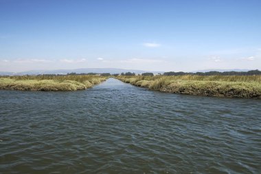 Aveiro gölü Ria de Aveiro Portekiz 'in Atlantik kıyısında yer alır..