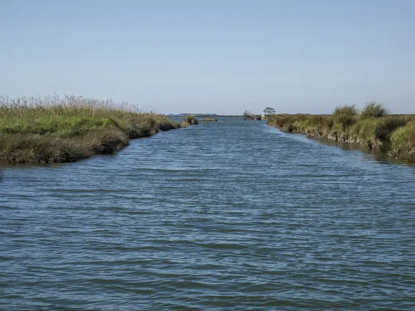 Aveiro gölü Ria de Aveiro Portekiz 'in Atlantik kıyısında yer alır..